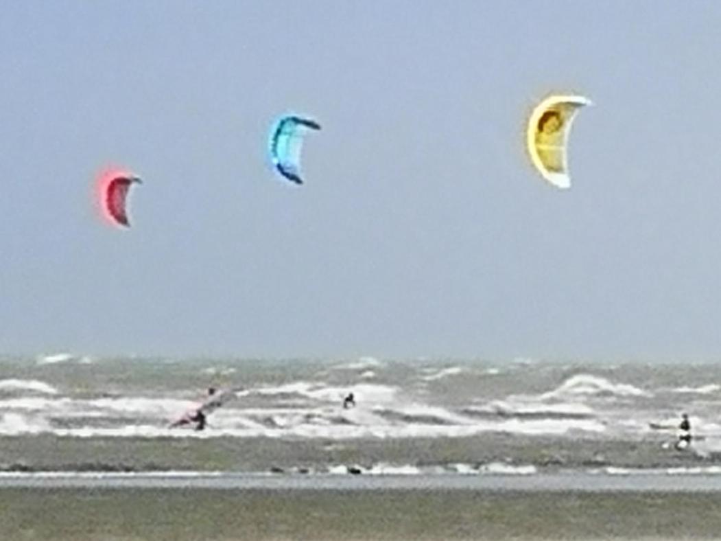 Zeester En Koffie. Oostduinkerke-Bad Luaran gambar
